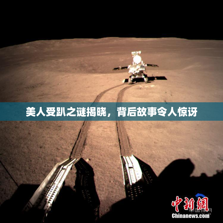 美人受趴之谜揭晓，背后故事令人惊讶