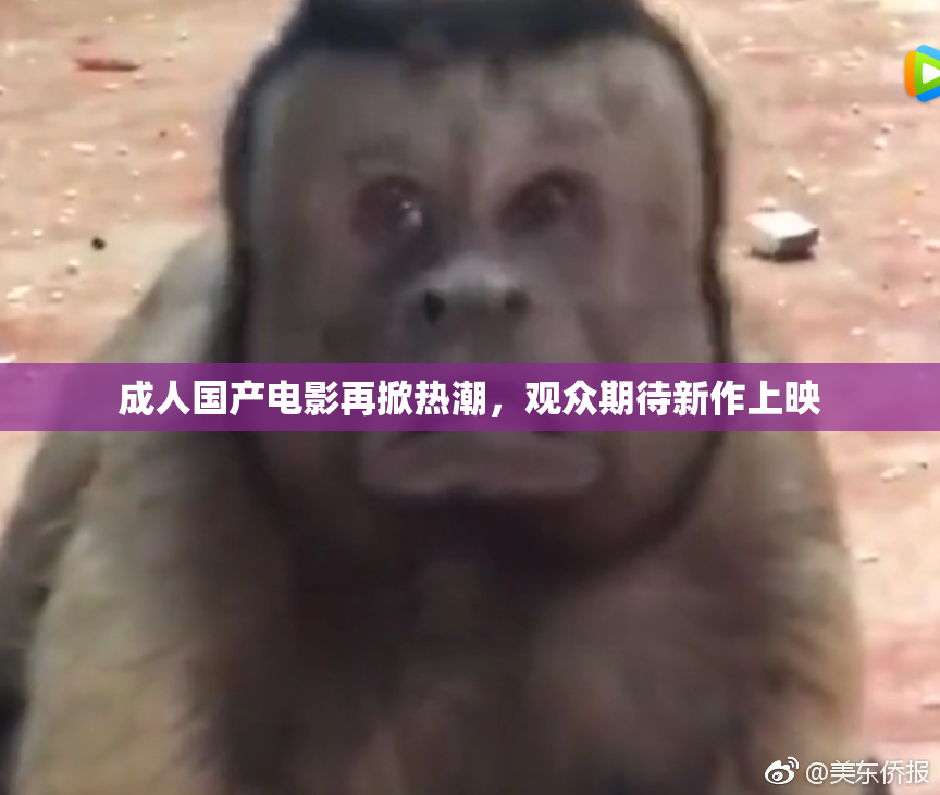 成人国产电影再掀热潮，观众期待新作上映