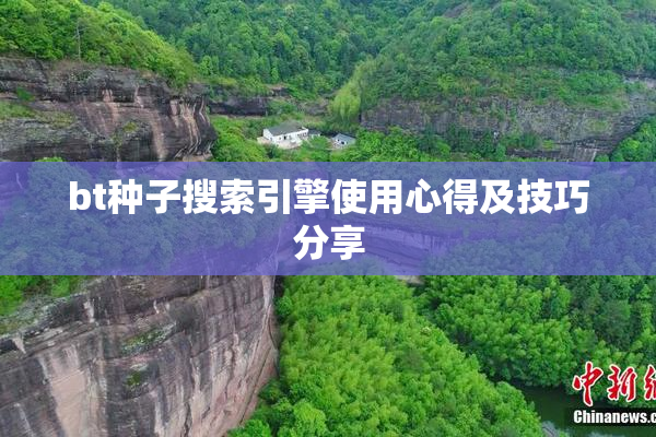 bt种子搜索引擎使用心得及技巧分享