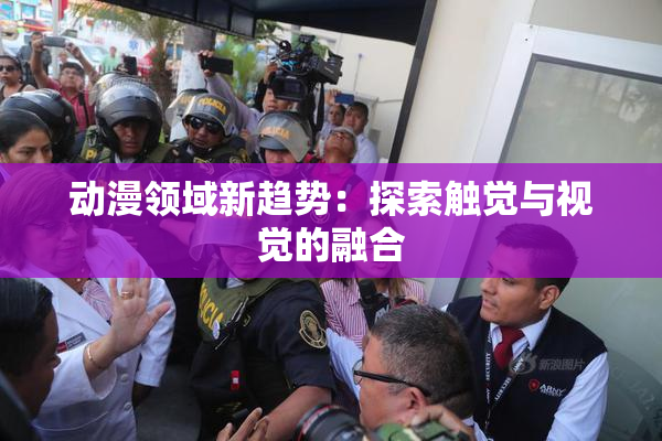 动漫领域新趋势：探索触觉与视觉的融合