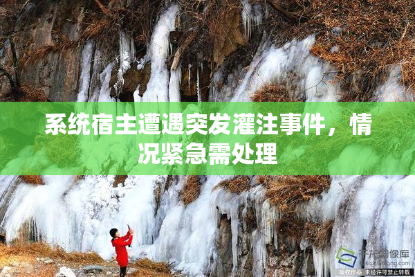 系统宿主遭遇突发灌注事件，情况紧急需处理