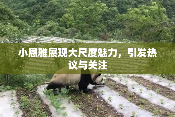 小恩雅展现大尺度魅力，引发热议与关注