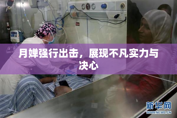 月婵强行出击，展现不凡实力与决心