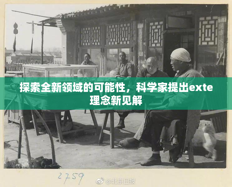 探索全新领域的可能性，科学家提出exte理念新见解