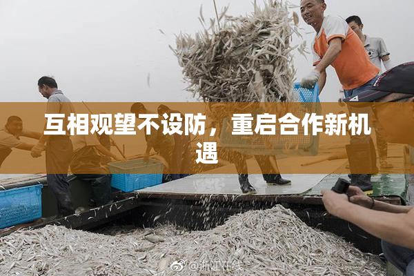 互相观望不设防，重启合作新机遇