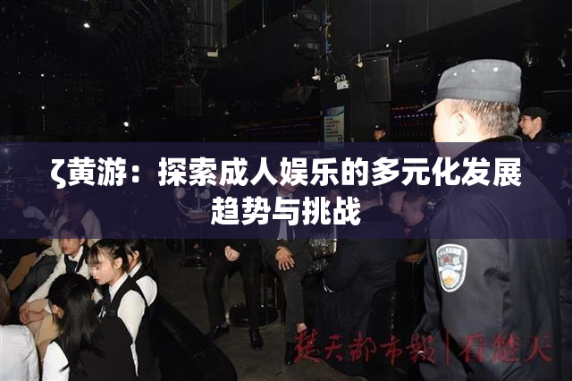 ζ黄游：探索成人娱乐的多元化发展趋势与挑战