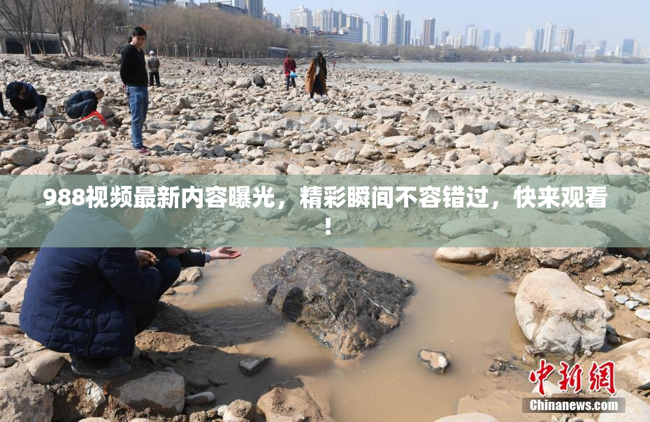 988视频最新内容曝光，精彩瞬间不容错过，快来观看！
