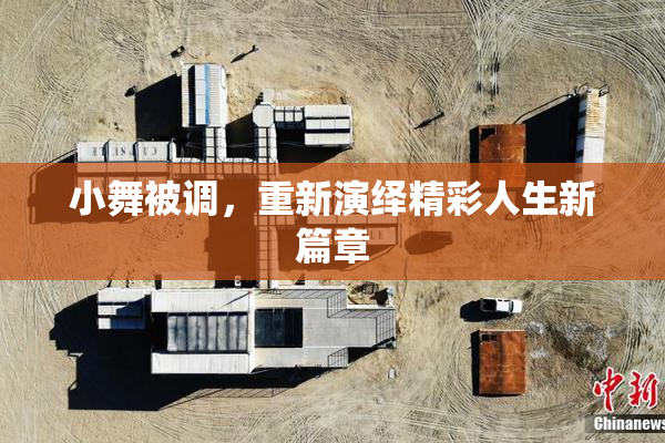 小舞被调，重新演绎精彩人生新篇章