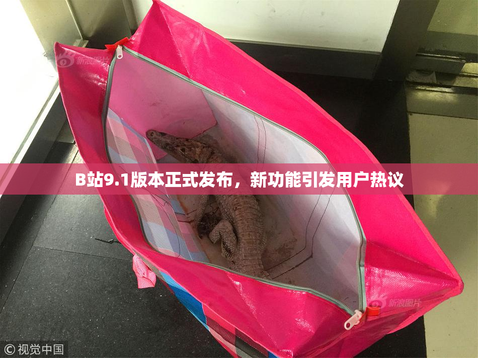B站9.1版本正式发布，新功能引发用户热议