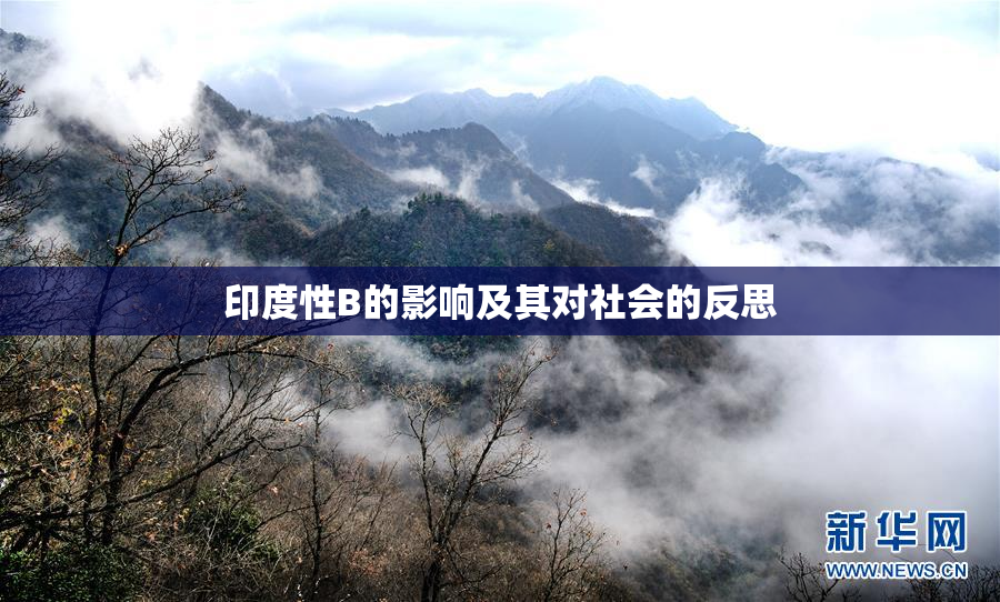 印度性B的影响及其对社会的反思