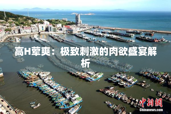 高H荤爽：极致刺激的肉欲盛宴解析