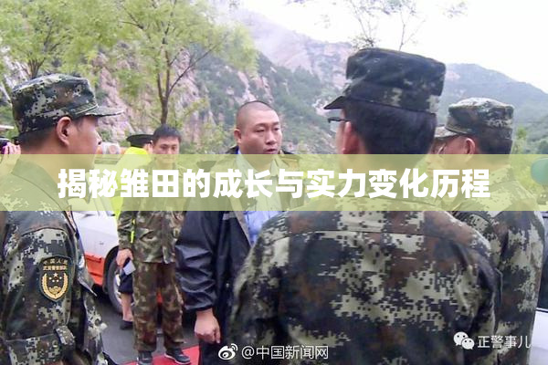 揭秘雏田的成长与实力变化历程