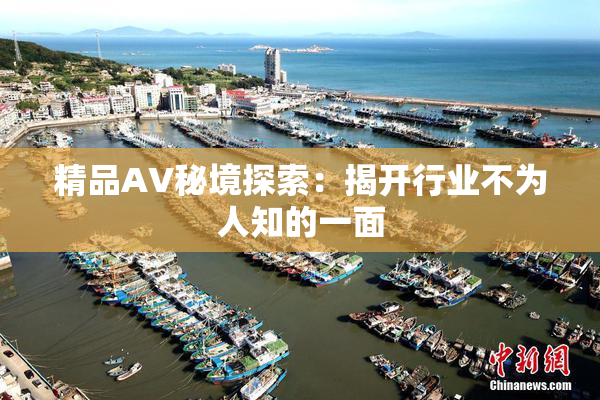 精品AV秘境探索：揭开行业不为人知的一面