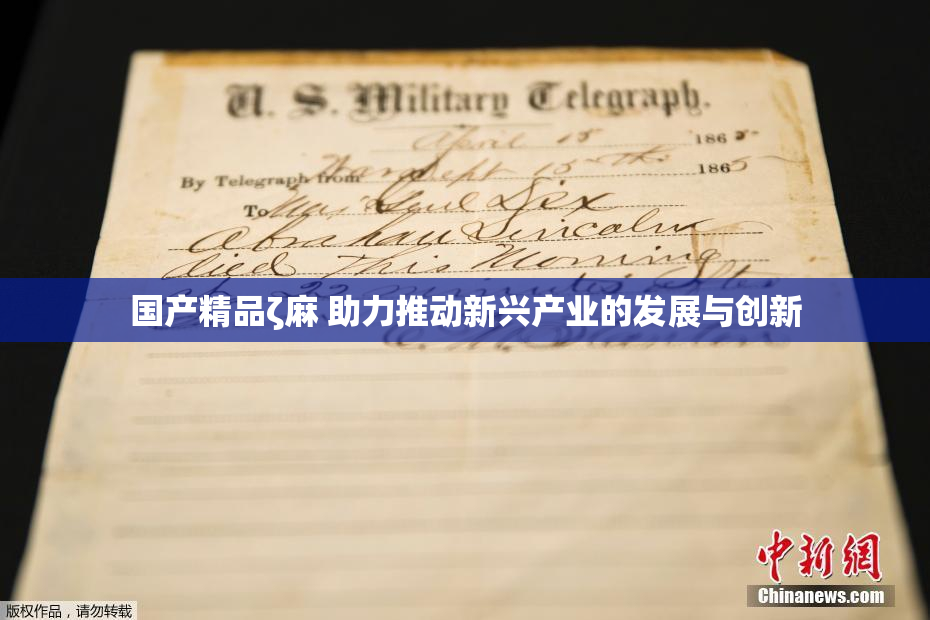 国产精品ζ麻 助力推动新兴产业的发展与创新