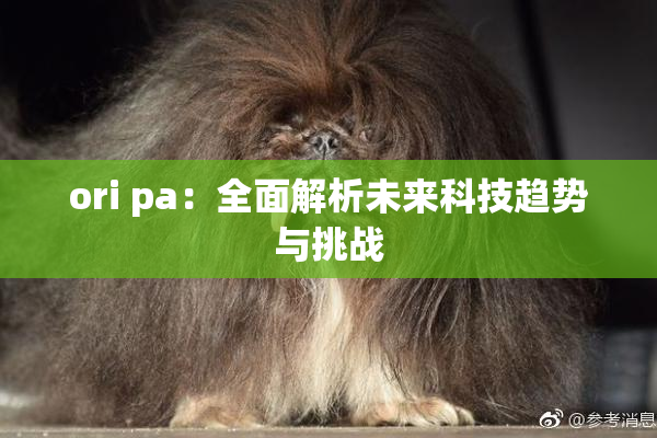 ori pa：全面解析未来科技趋势与挑战