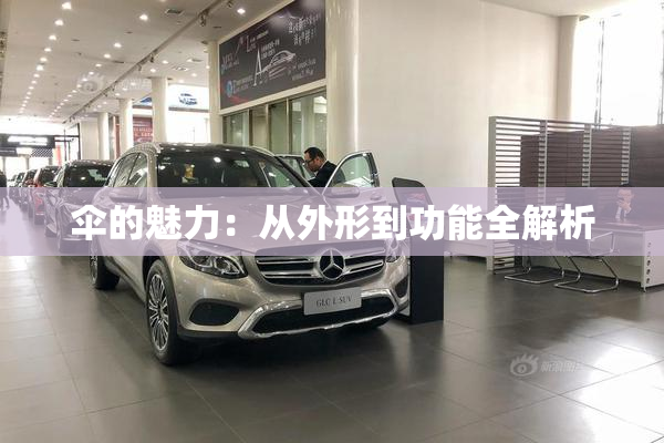 伞的魅力：从外形到功能全解析