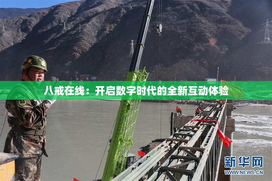 八戒在线：开启数字时代的全新互动体验