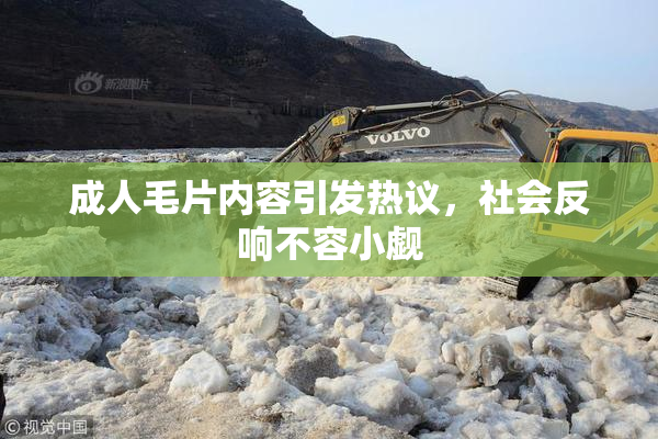 成人毛片内容引发热议，社会反响不容小觑