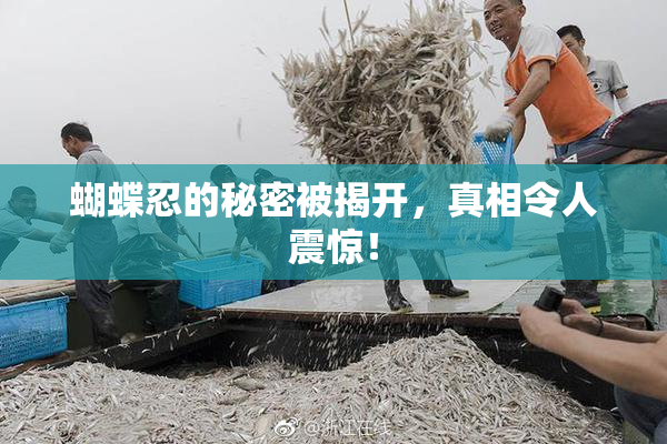 蝴蝶忍的秘密被揭开，真相令人震惊！
