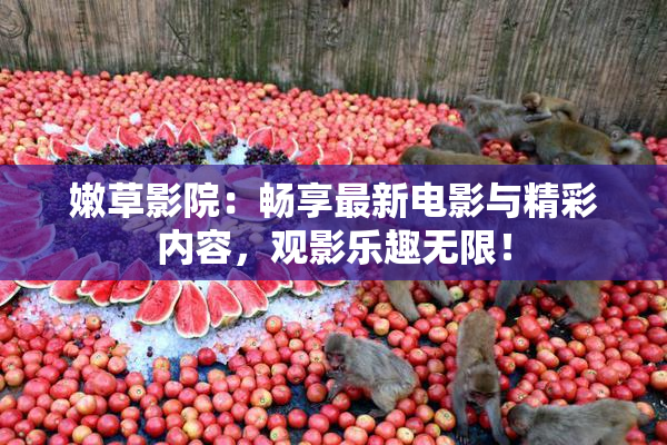 嫩草影院：畅享最新电影与精彩内容，观影乐趣无限！