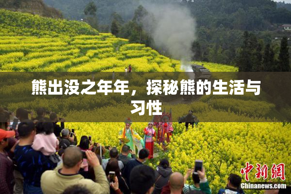 熊出没之年年，探秘熊的生活与习性