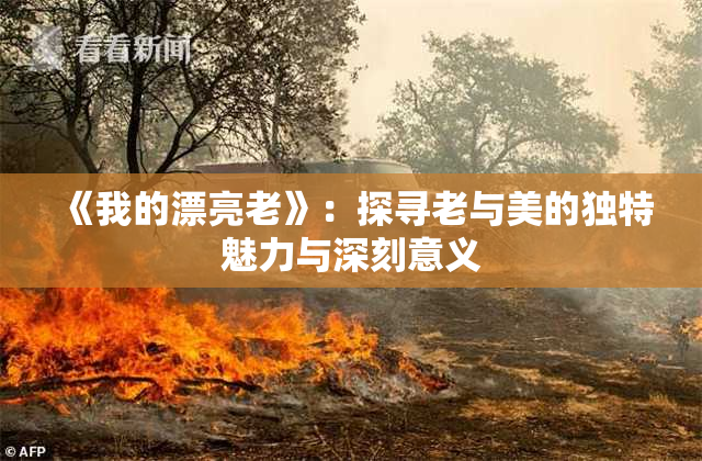《我的漂亮老》：探寻老与美的独特魅力与深刻意义