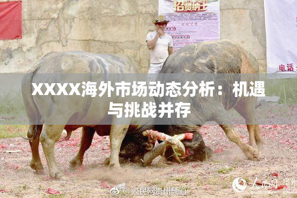 XXXX海外市场动态分析：机遇与挑战并存