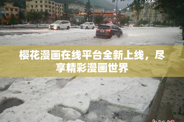 樱花漫画在线平台全新上线，尽享精彩漫画世界