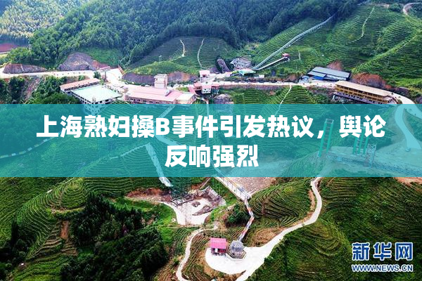 上海熟妇搡B事件引发热议，舆论反响强烈