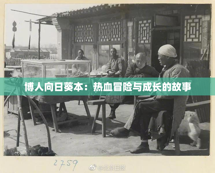 博人向日葵本：热血冒险与成长的故事