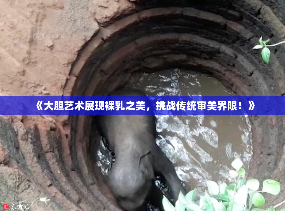 《大胆艺术展现裸乳之美，挑战传统审美界限！》