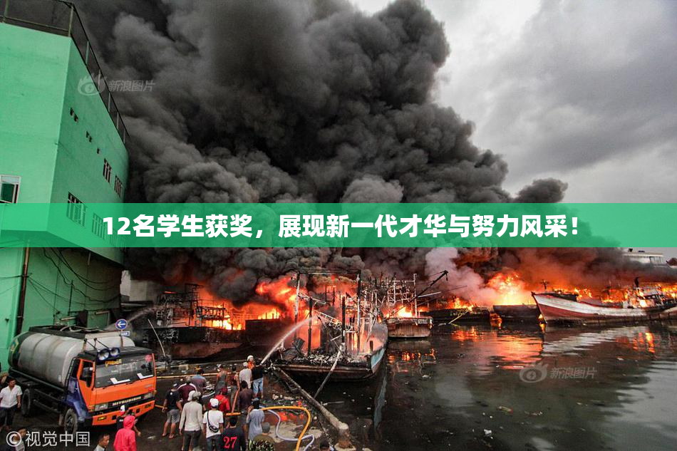 12名学生获奖，展现新一代才华与努力风采！