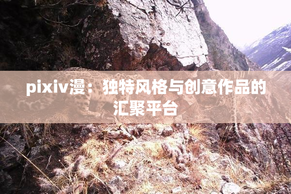 pixiv漫：独特风格与创意作品的汇聚平台
