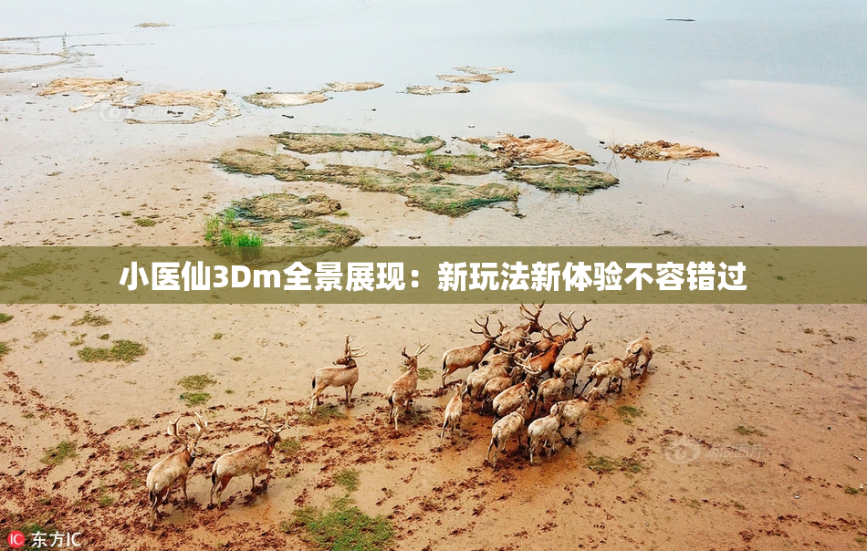 小医仙3Dm全景展现：新玩法新体验不容错过