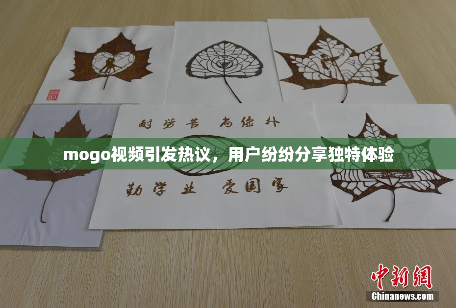 mogo视频引发热议，用户纷纷分享独特体验