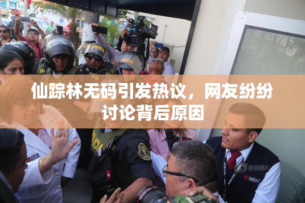 仙踪林无码引发热议，网友纷纷讨论背后原因