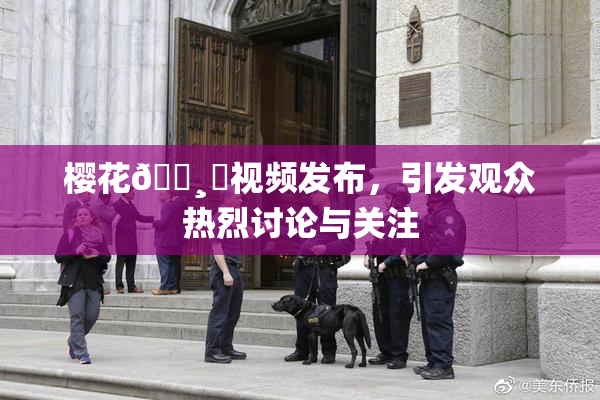 樱花🌸‌视频发布，引发观众热烈讨论与关注
