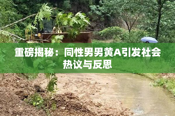 重磅揭秘：同性男男黄A引发社会热议与反思