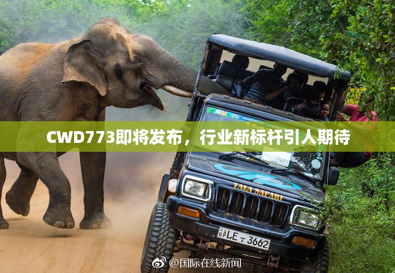 CWD773即将发布，行业新标杆引人期待