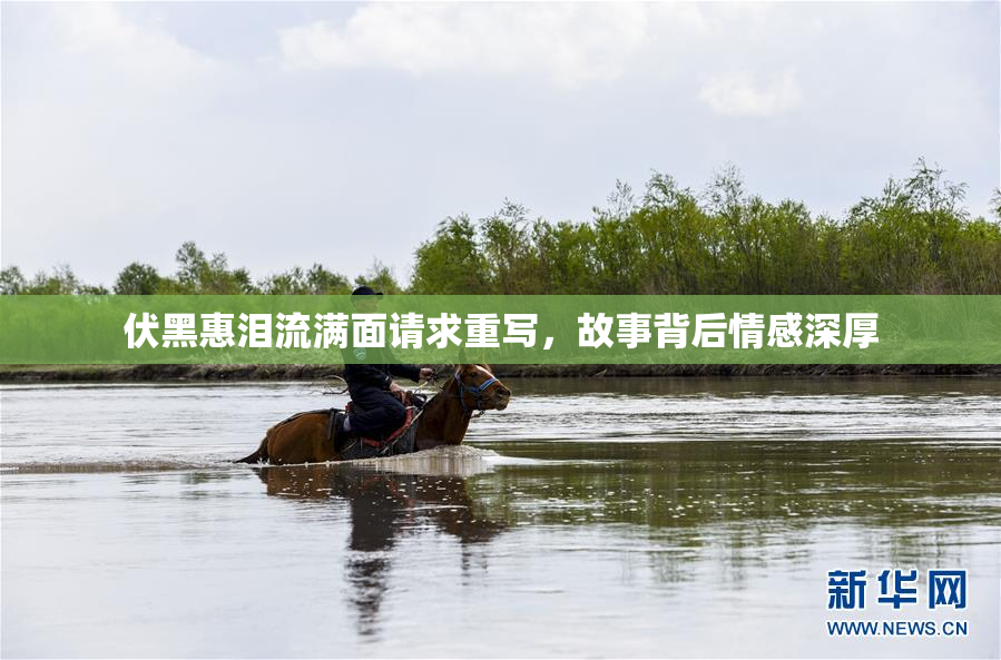 伏黑惠泪流满面请求重写，故事背后情感深厚