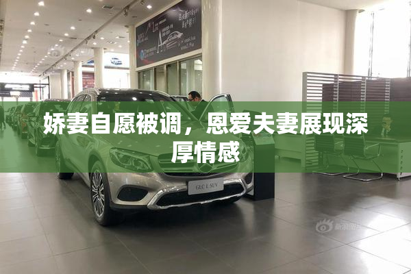 娇妻自愿被调，恩爱夫妻展现深厚情感