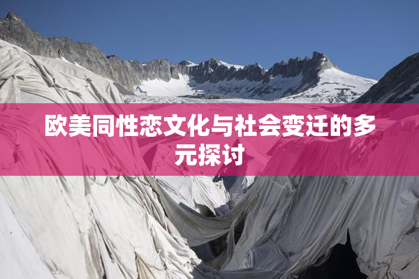 欧美同性恋文化与社会变迁的多元探讨