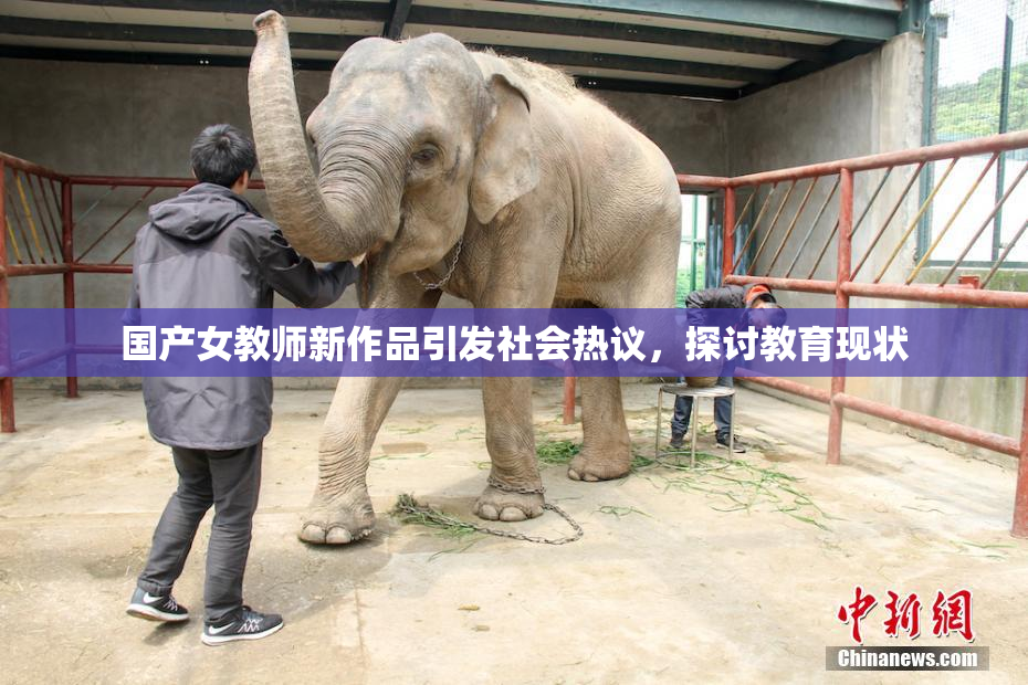 国产女教师新作品引发社会热议，探讨教育现状