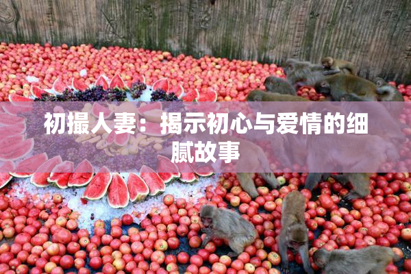初撮人妻：揭示初心与爱情的细腻故事