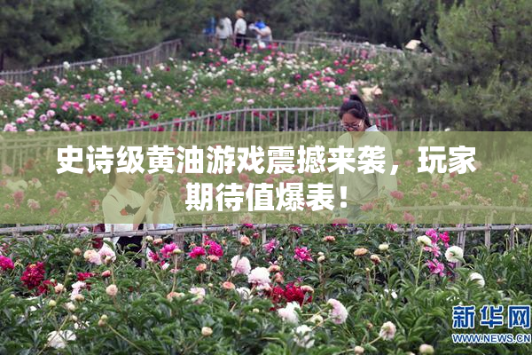 史诗级黄油游戏震撼来袭，玩家期待值爆表！