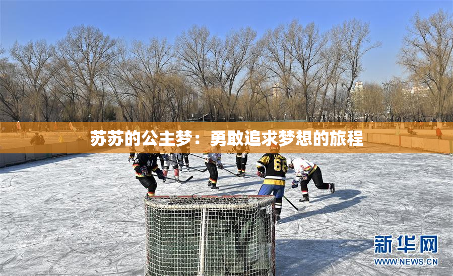 苏苏的公主梦：勇敢追求梦想的旅程