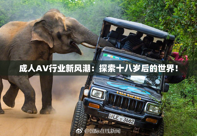 成人AV行业新风潮：探索十八岁后的世界！