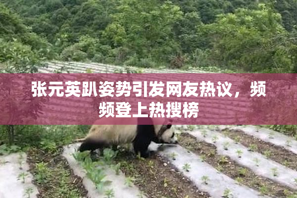 张元英趴姿势引发网友热议，频频登上热搜榜