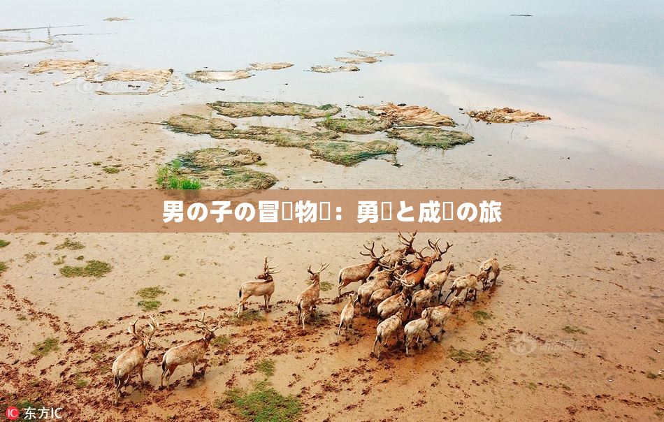 男の子の冒険物語：勇気と成長の旅