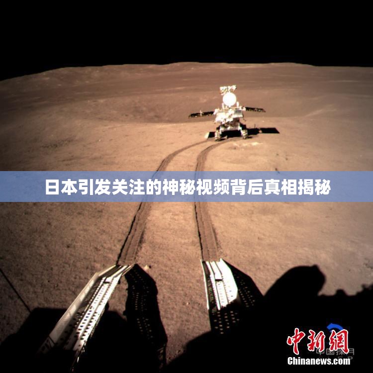 日本引发关注的神秘视频背后真相揭秘